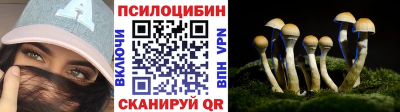 hydra tor  Унеча  Псилоцибиновые грибы Psilocybine cubensis 