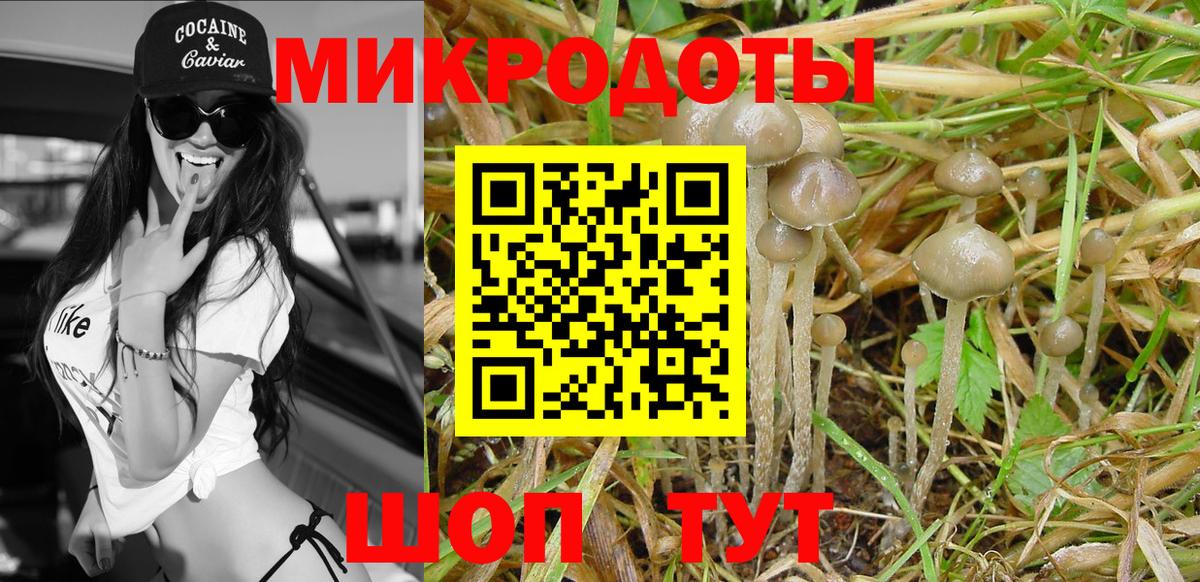 Унеча  Галлюциногенные грибы прущие грибы  где найти   Псилоцибиновые грибы GOLDEN TEACHER  Вход с VPN 